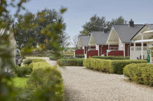 Hedwigenkoog House | Austernfischer