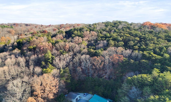 Rockbridge Cabin | Authentic Log Cabin with Stunning Hilltop Views