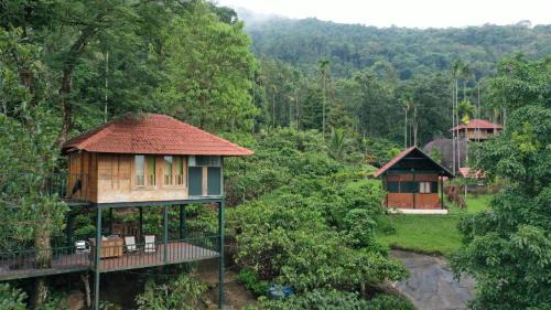 Kalpetta Resort | Avadale Wayanad - Stag Groups Not Allowed