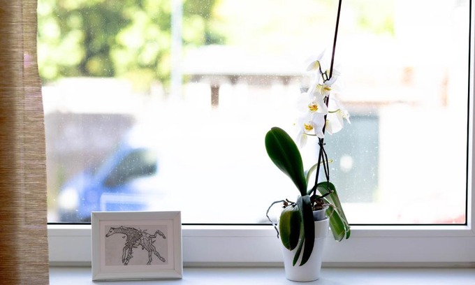 Haarlem Bed & Breakfast | B&B Brouwersvaart