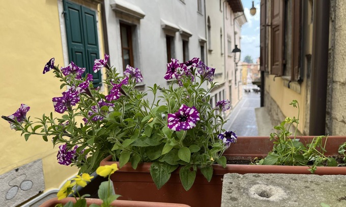 Cividale del Friuli Bed & Breakfast | B&B Dai Toscans