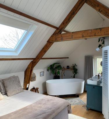 De Cocksdorp Bed & Breakfast | B&B De Vrijbuiter
