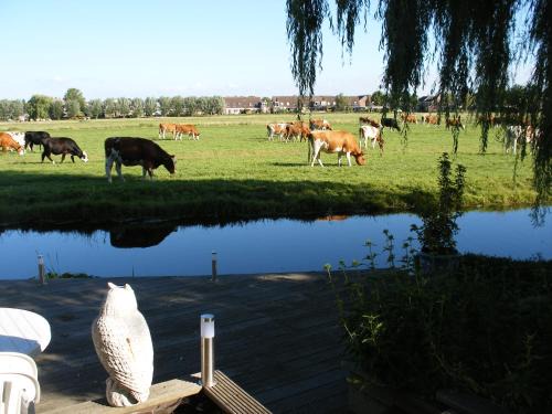 Volendam Bed & Breakfast | B&B-Edam