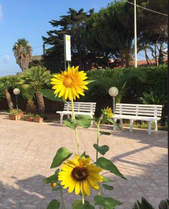 Caucana-finaiti-casuzze-finaiti Nord Bed & Breakfast | B&B Fiori Gialli Caucana