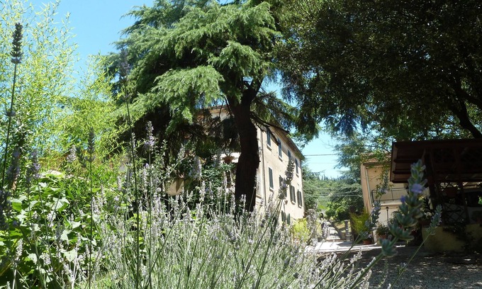 Riccio Bed & Breakfast | B&B Gabri