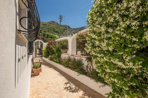 Anacapri Bed & Breakfast | B&B "i Magi"