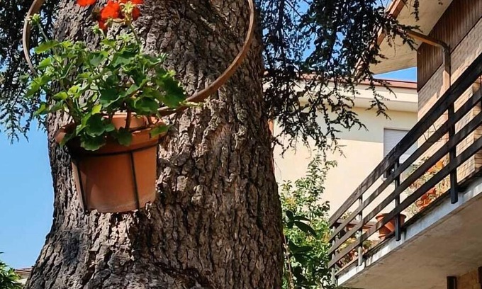 Foligno Bed & Breakfast | B&B Il Cedro
