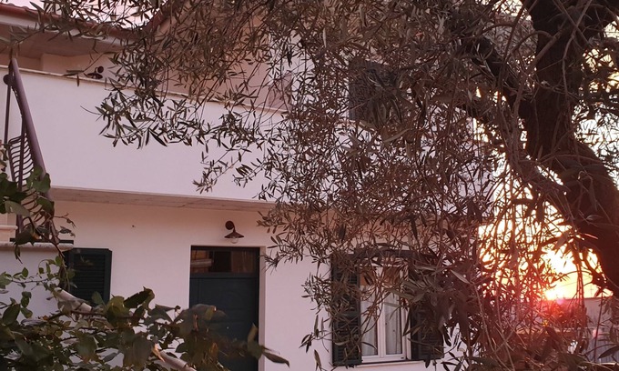 Rocca Massima Bed & Breakfast | B&B Il Falco e l'Ulivo