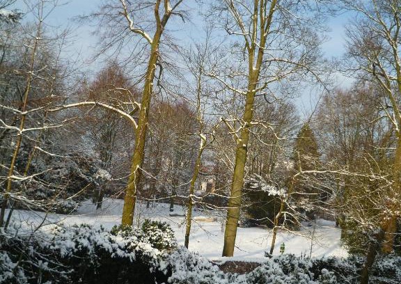 Historical Center Bruges Bed & Breakfast | B&B Speelmansrei