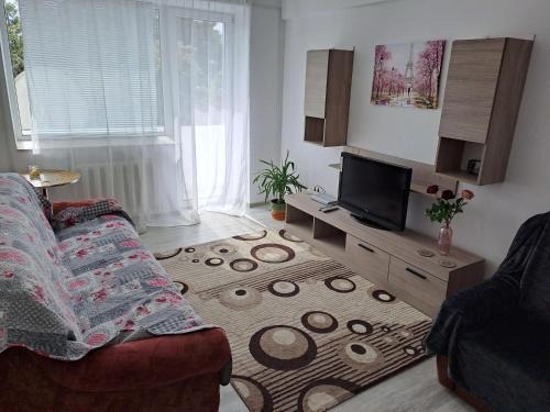 Bacau Apartment | Bacău Central