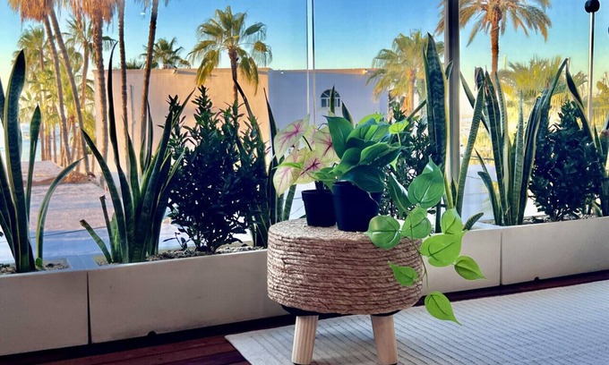 El Manglito Apartment | Baja Dreamscape with Pool & Jacuzzi on rooftop