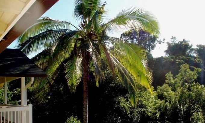 Pauwela Apartment | Bamboo Valley Inn 2BR/1BA Permitted