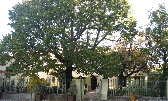 Est House | Bastide district, authentic farmhouse and 18th-century furniture