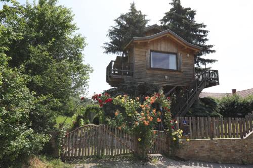 Senftenberg House | Baumhaus