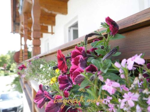 Gstadt House | Bavarian holiday apartment more