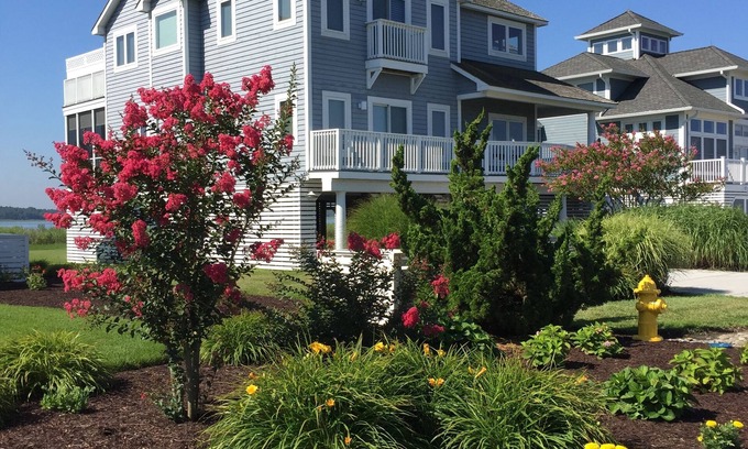 Bethany Beach House | Bayfront location yet 250 steps to ocean. Huge pool; 2 masters; 6 parking spaces