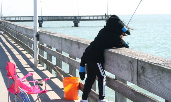 North Beach Condo | Beach Condo Walk to the sand beach and Texas State Aquarium.
