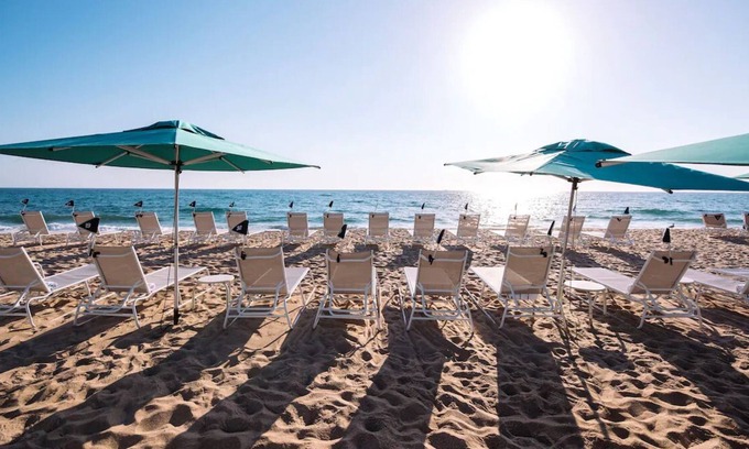 Palm Beach House | Beachfront Accommodation! 4 Garden View Units | Outdoor Pool w/ Ocean View
