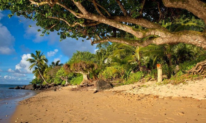 Kilauea Cottage | Beachfront Cottage TVNC#1361