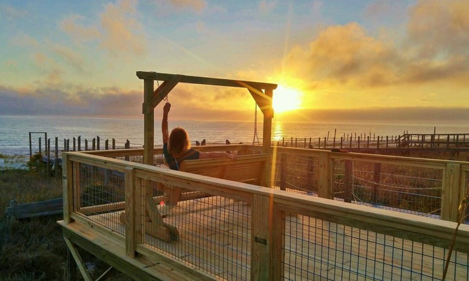 Alligator Point House | Beachfront ground floor! Screen porch, beach deck and boardwalk. Pet friendly