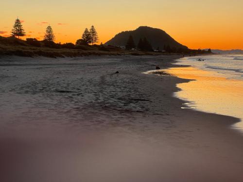 Omanu House | Beachside Bliss