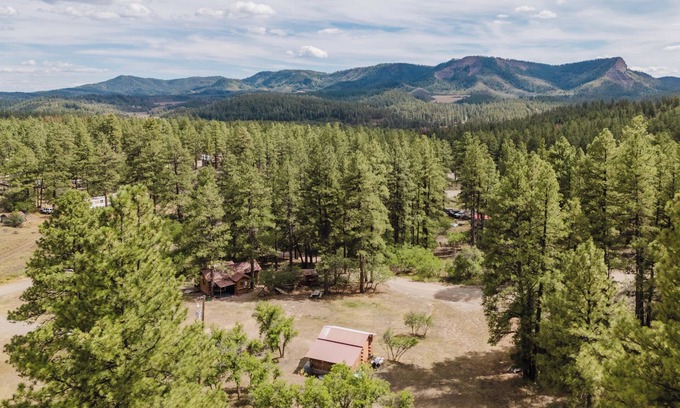 Pagosa Springs Cabin | Bear's Den