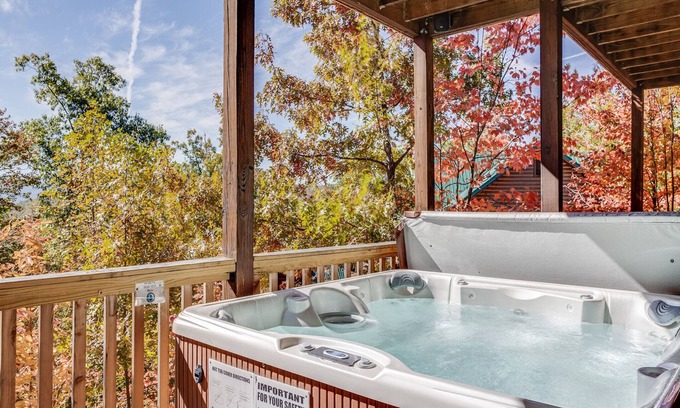 Black Bear Falls Cabin | Bear Slide