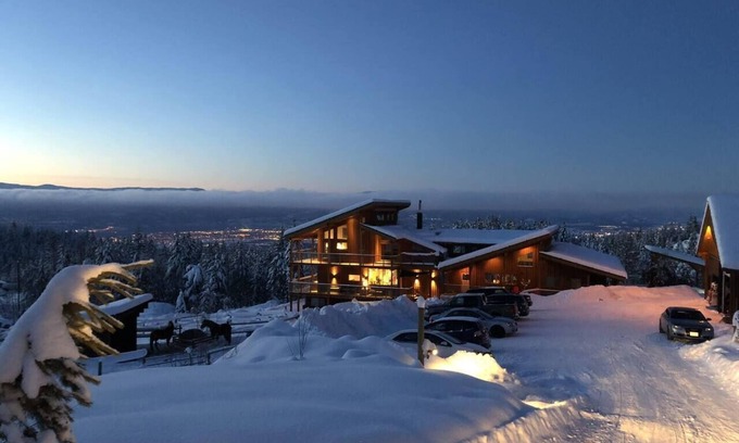 Central Okanagan Apartment | Bear Suite 4 guests