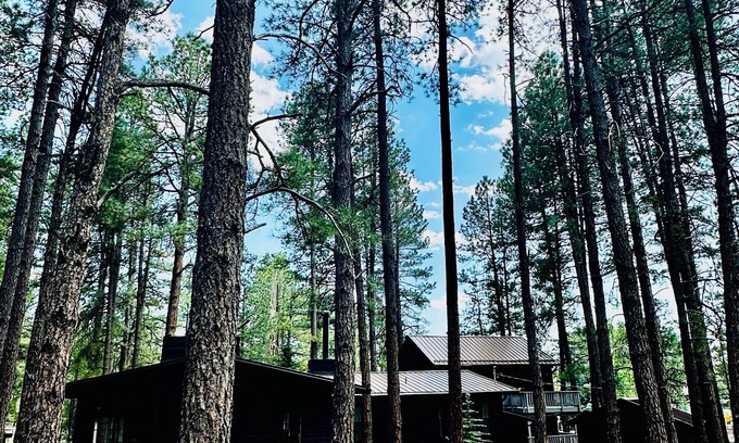 Munds Park Cabin | Bear Treehouse - 1.23 acres of cool pines and walking distance to fun!