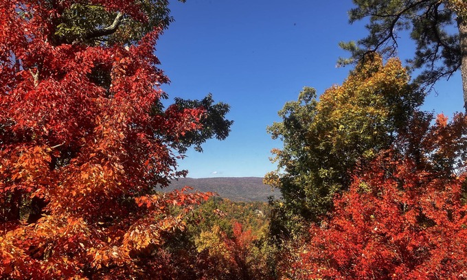 Gatlinburg - Pigeon Forge Cabin | Bears Abound- a Pet-friendly, Log Cabin With Breathtaking Views