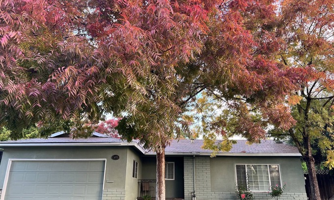 Fresno House | Beautiful 3 bedroom 2 bath house in fig garden