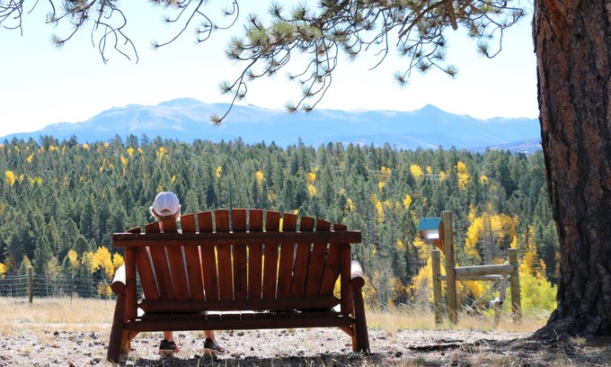 Divide Cabin | Beautiful and peaceful Cabin on 35 Acres!