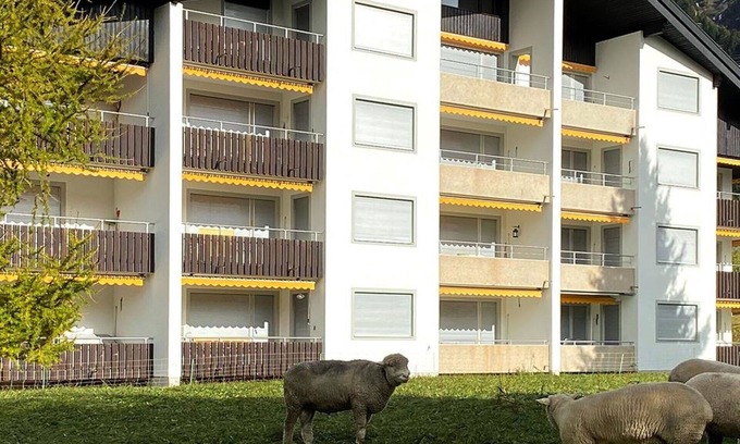 Parpan Apartment | Beautiful apartment for 6 guests with WIFI, TV and balcony