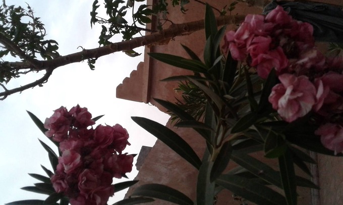 M'Hamid El Ghizlane House | Beautiful authentic riad a mhamid elghizlan