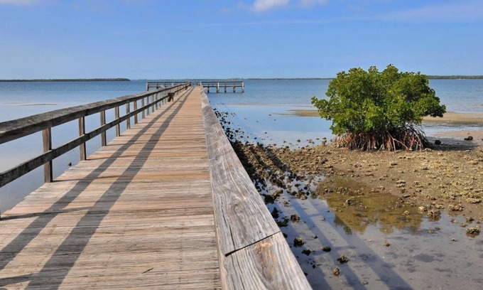 Palmetto Apartment | Beautiful Condo "What a View" Terra Ceia Golf & Tennis Club