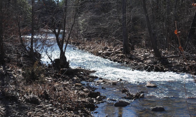 Smithville Cabin | Beautiful secluded cottage with gated privacy.