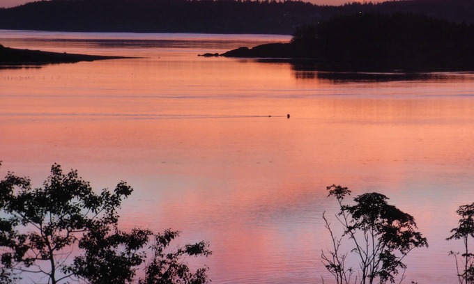 Eastport House | Beautiful Sunrises over Campobello Island & Passamaquoddy Bay at Lupine Cottage
