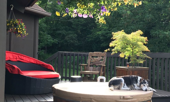 Watkins Glen House | Beautiful woodland home, with cedar hot tub, close to wineries, hiking, lakes