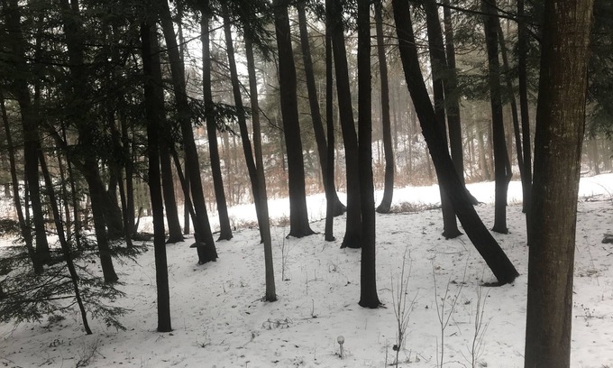 Newfield Apartment | Beautiful woodland weekend retreat with optional site seeing opportunities