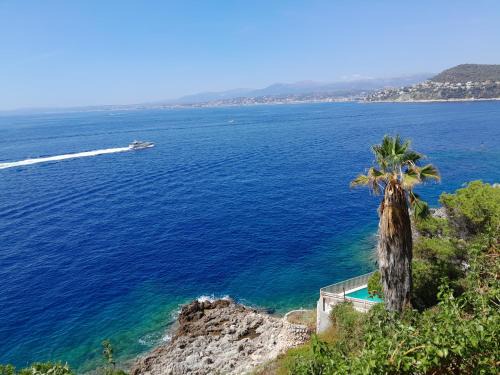 Saint-Jean-Cap-Ferrat Apartment | Beauty