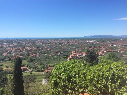 Pietrasanta House | Belvedere 10