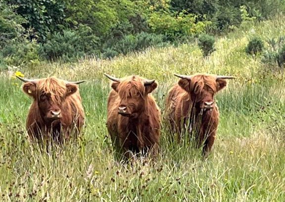 Banavie Bed & Breakfast | Ben Nevis Manor