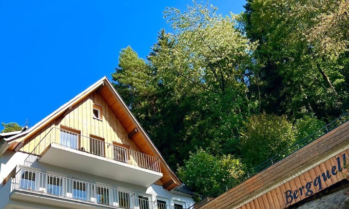 Ortsmitte Apartment | Bergquell Willingen App. 5