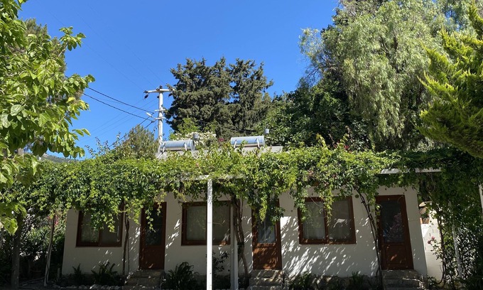 Hayitbuku House | Berke Cafe&Pansiyon