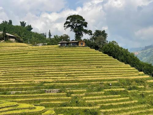 Sa Pa House | Best View Homestay