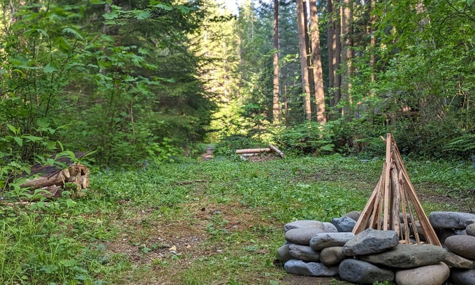 Ashford RV Rental | Bigfoot's Bivvy Tent Site ~8 mi to Mt. Rainier Natl Park Nisqually Entrance