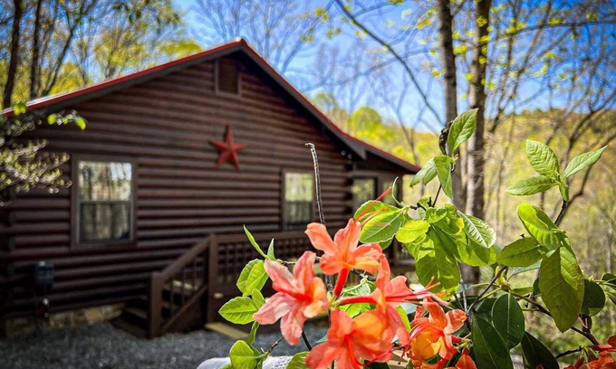 Blue Ridge Cabin | Bigfoot's Hideaway | Hot Tub | Fire Pit | Cozy Wooded Retreat