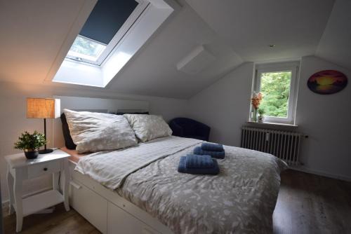 Unterallgau Apartment | Bimax Neu renovierte, gemütl. 4 Zimmer Dachwohnung