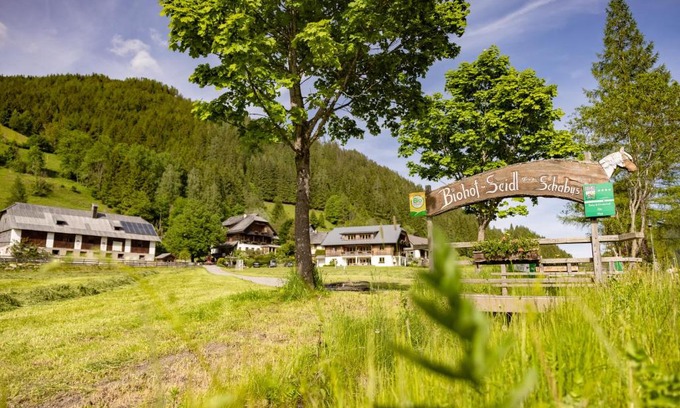 Bad Kleinkirchheim Apartment | Biohof Seidl