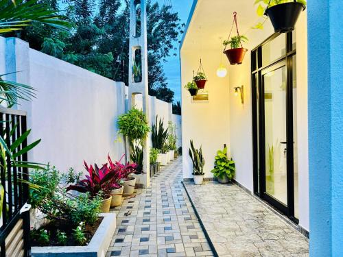 Tangalle House | Bird House Villas